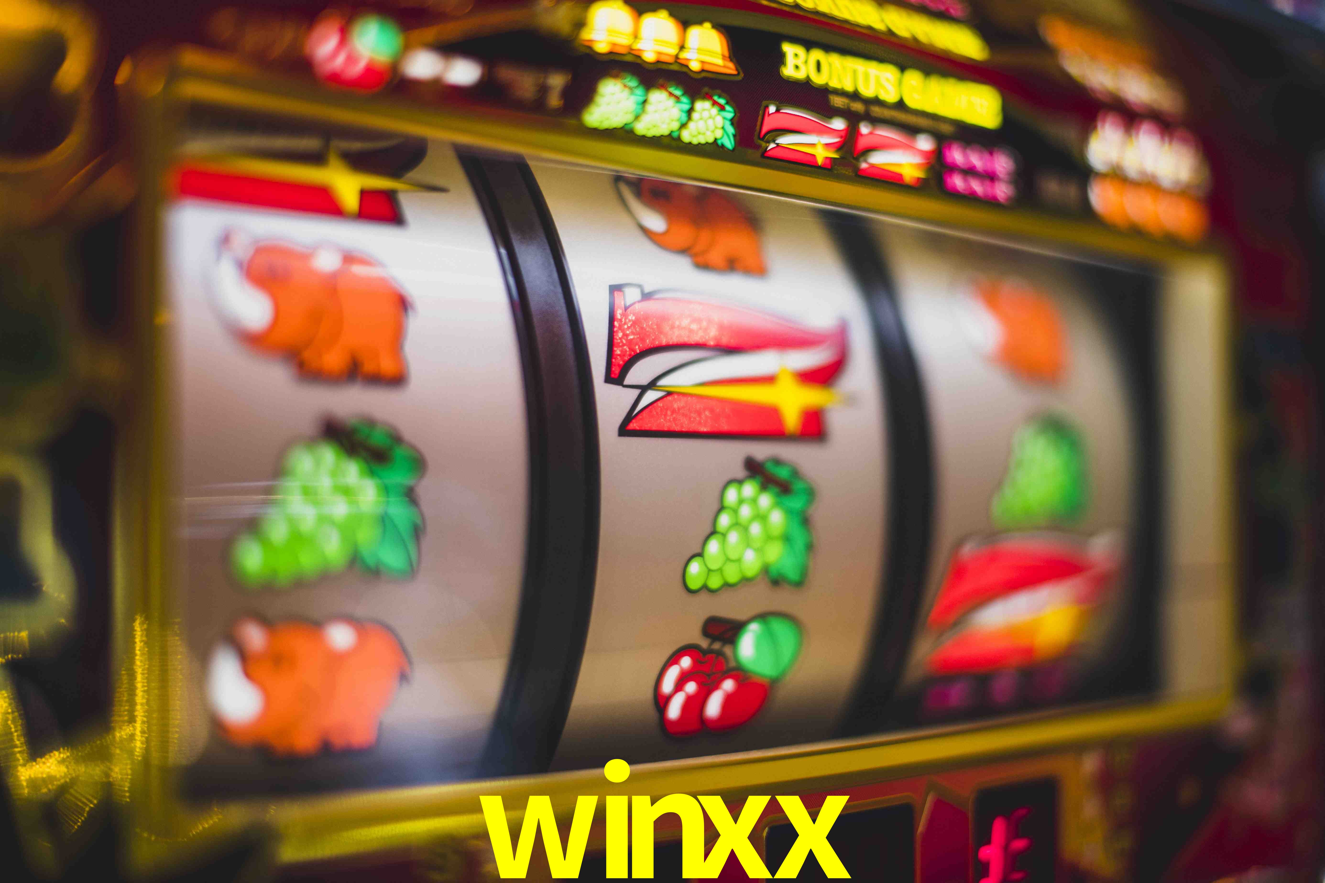 Tennis Betting winxx